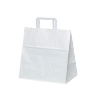 パックタケヤマ 紙手提袋 H平28 晒 無地 XZT01023 1包：50枚×4（直送品）