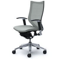 【無料引取付き】CP85BR FDF3|オカムラ バロン ハイバック 可動肘 背メッシュ・座クッション ポリッシュ×ブラック ライトグレー 1脚（直送品）