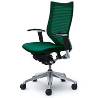 【無料引取付き】CP85BR FEF5|オカムラ バロン ハイバック 可動肘 背メッシュ・座クッション ポリッシュ×ブラック ダークグリーン 1脚（直送品）