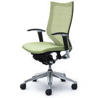 【無料引取付き】CP85BR FEF6|オカムラ バロン ハイバック 可動肘 背メッシュ・座クッション ポリッシュ×ブラック ピスタチオグリーン 1脚（直送品）