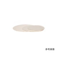 スキャンディア 研磨用バフ PLANーOーGRIP φ200mm 2142 1袋(5枚) 62-2929-68（直送品）