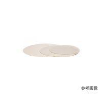 スキャンディア 研磨用バフ PLANーOーGRIP φ300mm 2144 1袋(5枚) 62-2929-69（直送品）