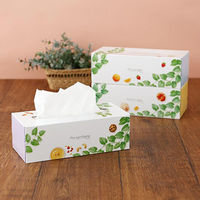 【限定デザイン】ティッシュペーパー 160組（3箱入） コットンフィールティシュ 大王製紙株式会社 限定