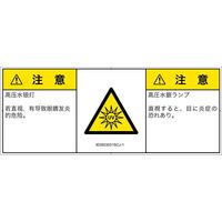 IE0503531SCJ-1（直送品）