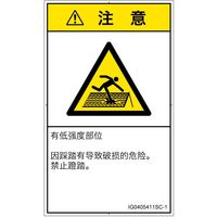 IG0405411SC-1（直送品）