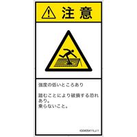 IG0405411LJ-1（直送品）