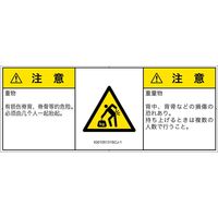 IG0105131SCJ-1（直送品）