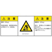 IG0115331SCJ-1（直送品）