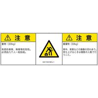 IG0115531MCJ-1（直送品）