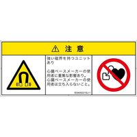 IE0405221SJ-1（直送品）