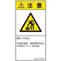 IG0116111MC-1（直送品）