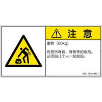 IG0116101MC-1（直送品）