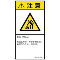 IG0116311LC-1（直送品）