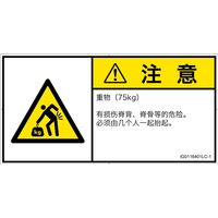 IG0116401LC-1（直送品）