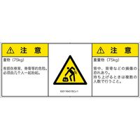 IG0116431SCJ-1（直送品）