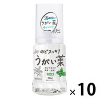 健栄製薬 のどスッキリうがい薬ミント味 300ml 1ケース（10本：1本×10）