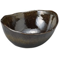 アースモス 中鉢 金彩天目