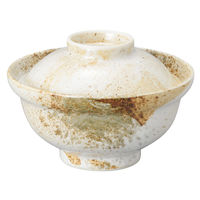 アースモス 蓋付丼