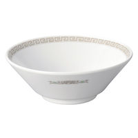 アースモス 中華丼