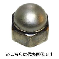 三笠・鋲螺 六角袋ナット 鉄生地 3形2種 W1/2 20個入 キャップナット 1100100045544 1セット(20個入)（直送品）