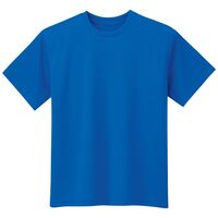 春夏作業服 ドライメッシュ ポリエステル100% 半袖Tシャツ TS13 上 ロイヤルブルー Mサイズ 3120146904 1点（直送品）