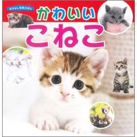 永岡書店 たのしい絵本 なかよし写真えほん　かわいいこねこ  43246 10冊（直送品）