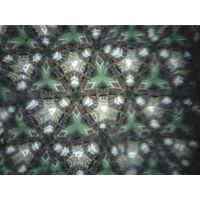 iJ ؋(găLbg) r[ʖ؋ S77-1730-01 1Zbg(8Zbg)iij