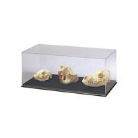 ナリカ 動物の頭骨標本 (3種セット) L55-5020 1セット（直送品）