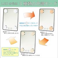 ヤマムラ LED卓上ミラー YLD-10BK 1個（直送品）