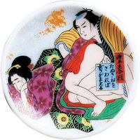 陶里 日本土産 マグネットプレート花合戦（たぬき寝） (10個入) tri-303886558（直送品）