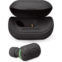 PGA Bluetooth(R) 5.0搭載 片耳ワイヤレスイヤホン 充電ケース付 ブラック PG-BTE13BC1BK 1個（直送品）