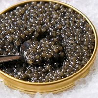 アーマリン近大 近大キャビア10g×1箱 CAVIAR10G×1 1セット（直送品）