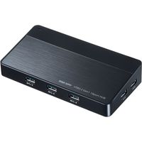 サンワサプライ USB3.2Gen1 10ポートハブ USB-3H1006BK 1個