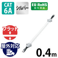 LANケーブル CAT6A準拠 屋外対応 隙間用 40cm フラット シルバー LD-VAPF6A/SV04 エレコム 1個