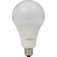 日動工業 ＬＥＤフロスト電球２２Ｗ LFC-22W-50K 1個（直送品）