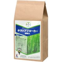 バイエル薬品 - やま ゼチーア錠10mg 100錠 (バイエル薬品) | 商品詳細 | FOCUS