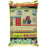 レインボー薬品 ネコソギエースV粒剤 5kg 4903471100643 1個