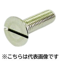 三笠・鋲螺 ステンレス(ー)皿小ネジ M10×20 マイナスねじ 1100100045691 1箱(100本入)（直送品）