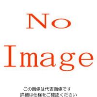 エスコ 21x23mm 両口めがねレンチ EA616GC-9 1本(1丁)（直送品）