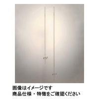 柴田科学 ビュレット スーパーグレード 青筋 PTFEコック付 10mL 021830