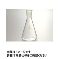 三商　三商印　共通摺合せ三角フラスコ　100ｍＬ　24／40　82-2924　1個　（直送品）