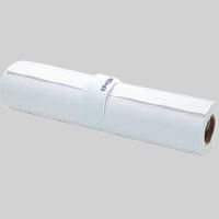 セイコーエプソン　普通紙ロール　EPPP9044　1箱（2本入）　（わけあり品）