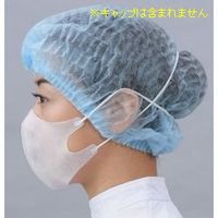 Gum K̃}XN I[o[wbh 3000(100×30) 881 1P[X(3000)iij