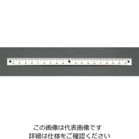 エスコ 150mm[右方向/上目盛]スケール(ネジ止付) EA948J-133 1セット(10個)（直送品）