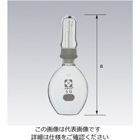 柴田科学 比重びん(ピクノメーター) ワードン形 50mL 055540-50 1個 61-4429-78（直送品）