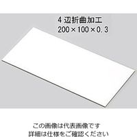 アズワン テストピース ブリキ板 200×100×0.3 1袋（100枚） 1-3781-03