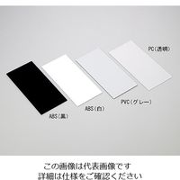 アズワン テストピース 塩ビ板(グレー)1袋(50枚入) 1-3882-03 1袋(50枚)（直送品）