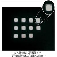 アズワン 炉内温度測定器用 測温チップ(不可逆性) ACME-590H 1個 1-8124-11（直送品）