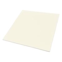 ニッカトー 焼成用セッター (アルミナ SSAーS) 150×2.5mm SSA-S 150x2.5mm 1枚 1-8321-03（直送品）