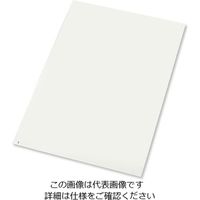 アズワン エコノミー粘着マット 白 450×900 2-4910-01 1箱(10枚)（直送品）